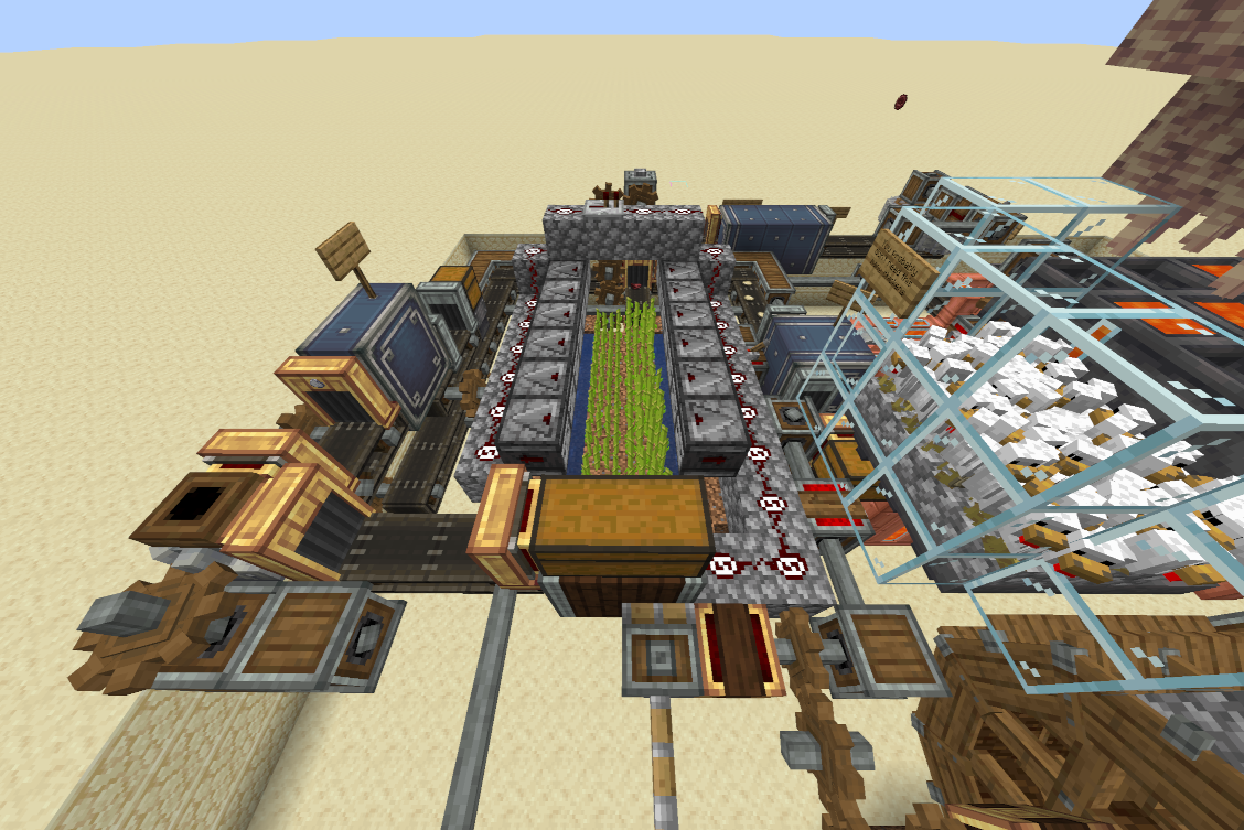 sugar cane farm
